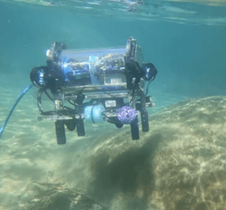 3D Reconstruction of Underwater Features in Lake Tahoe with an Autonomous Underwater Vehicle